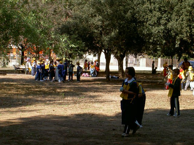 PICT2493